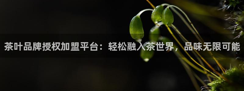 金年会体育在线入口