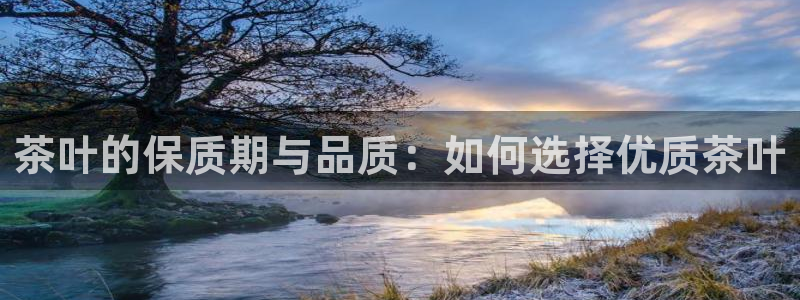 金年会 平台