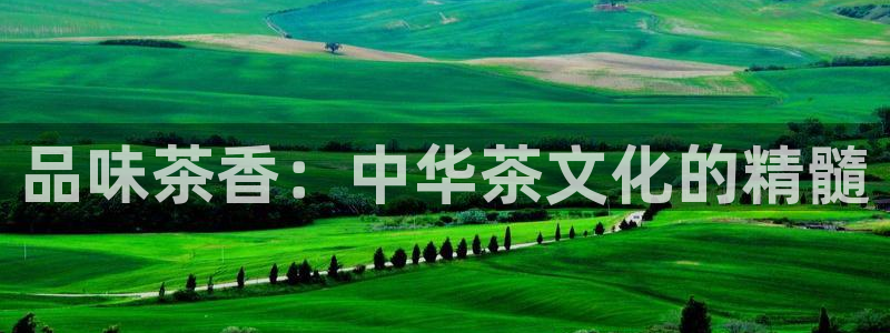 陆金所 年会