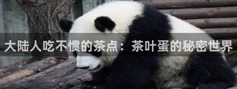 金年会能提款吗