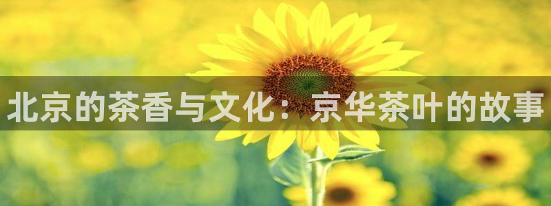 金年会菲律宾