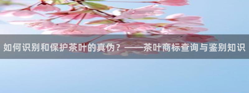 金齿科年会