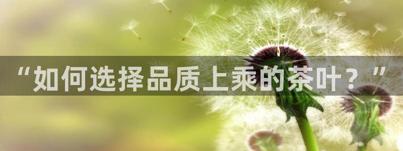 金年会官方入口