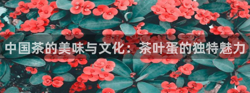 金年会 1080P