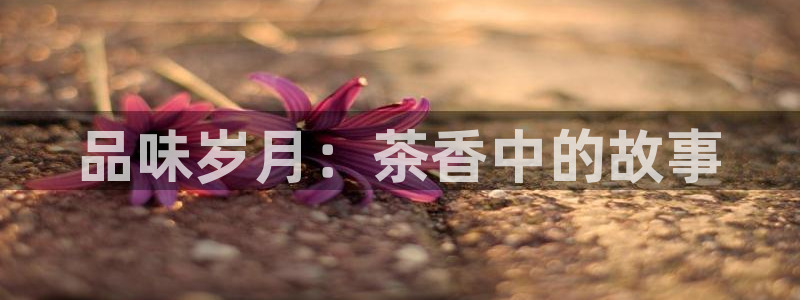 金年会电子游戏