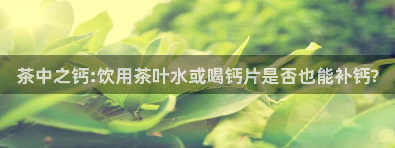 金年会黑网