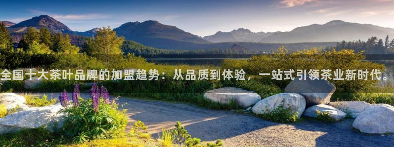 金诺利年会