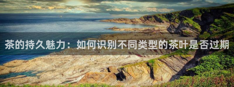 金年会体育平台官网