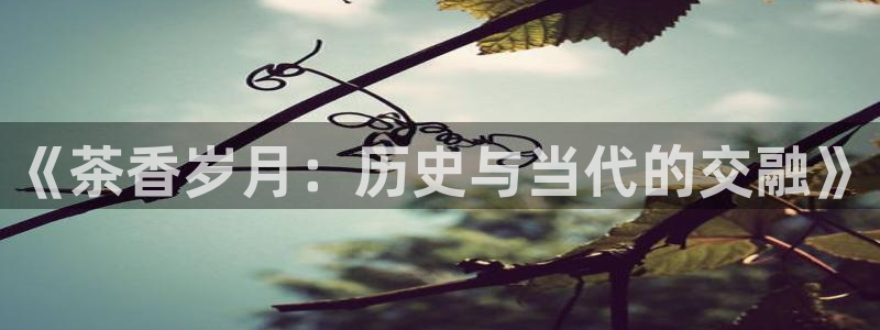 世纪金源年会