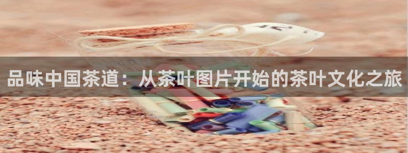 金年会6766