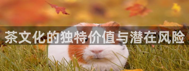 金年会入口