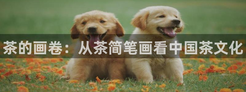 金年会ios下载