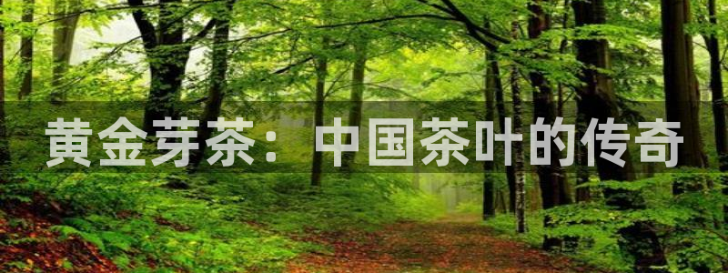 金年会软件在线下载
