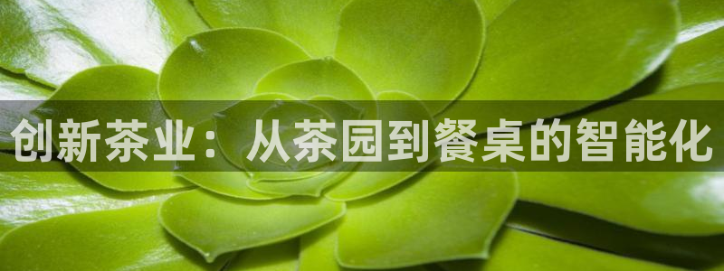 金年会ios下载