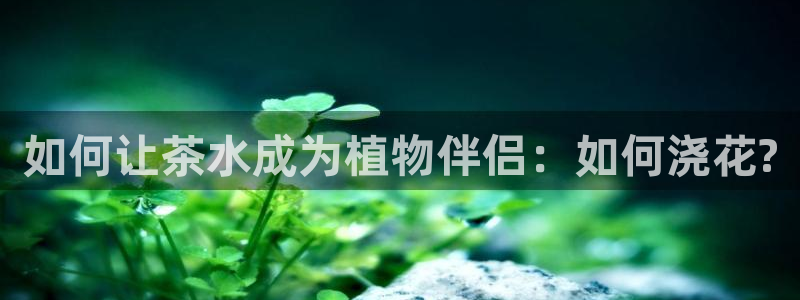 金汉江年会