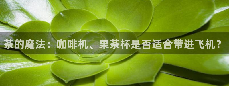 金年会101