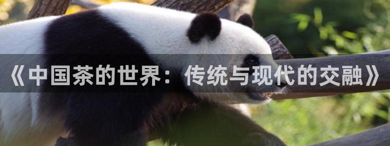 金年会官网入口