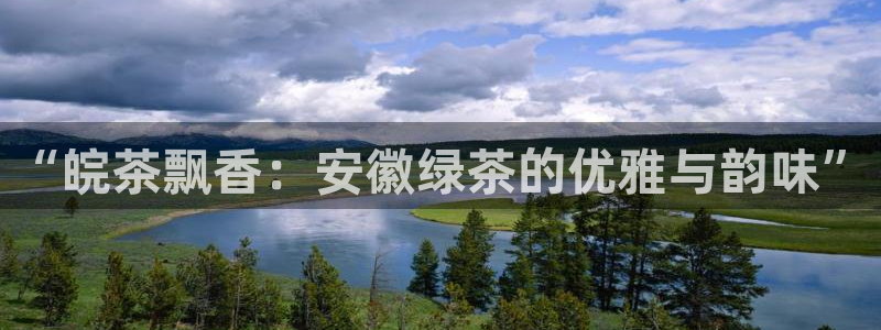 金年会推荐
