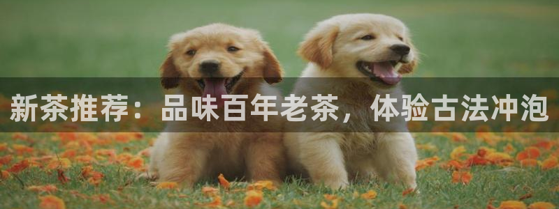 金年会注册官网