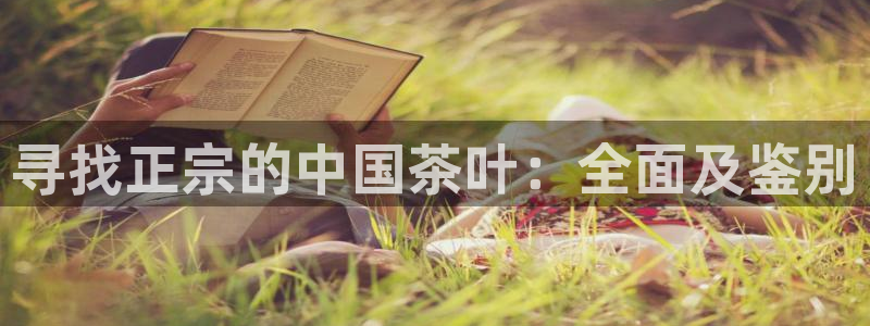 金年会赞助商