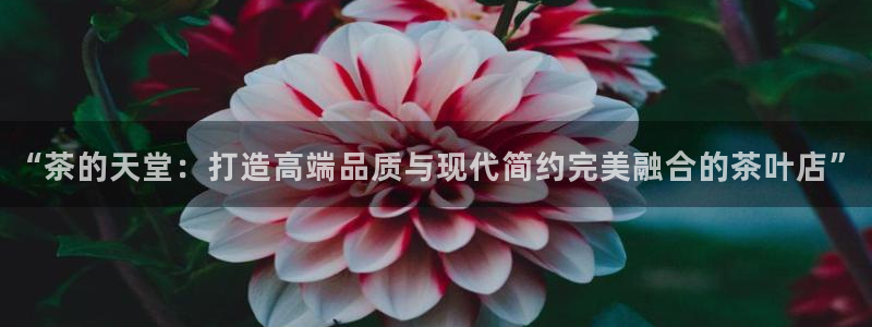 金年会投注官网