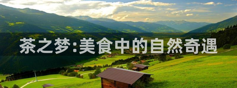 金年会娱乐下载