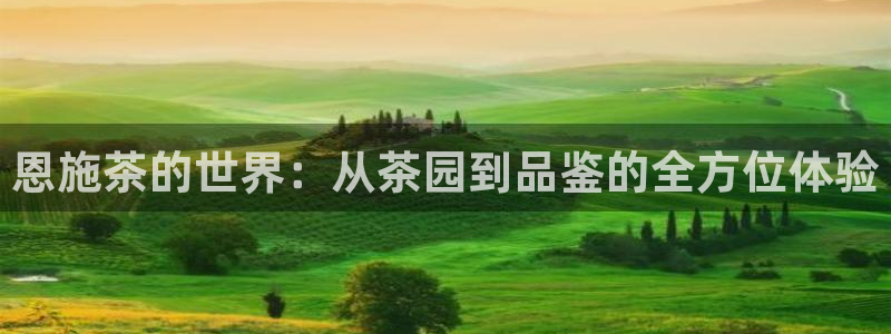 金年会软件之家下载