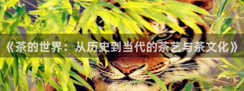 金年会体育平台官网