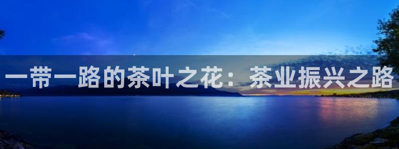 金年会官网入口