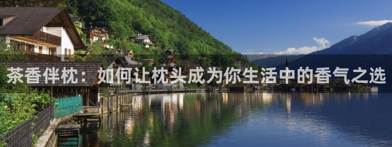 金年会会