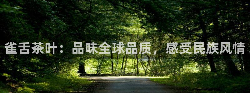 金年会app在线
