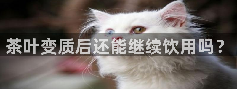 澳门金年会棋牌