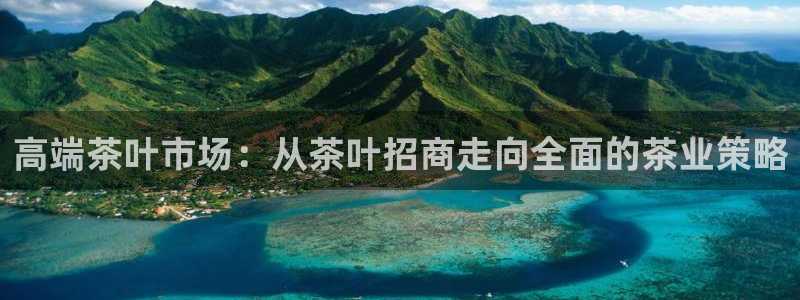 类似金年会