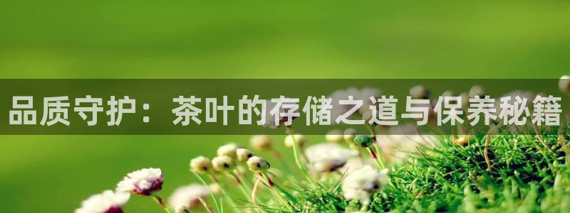 金年会官