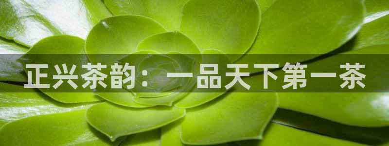 金年会彩金