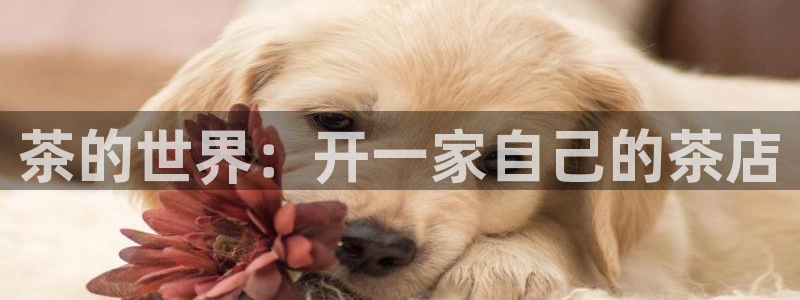 金年会登录入口