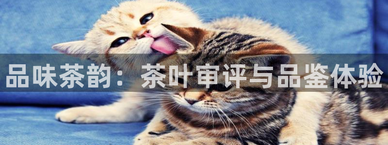 金年会官网app下载