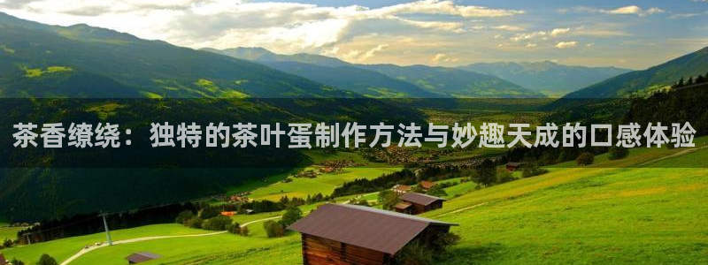 金年会游戏官网
