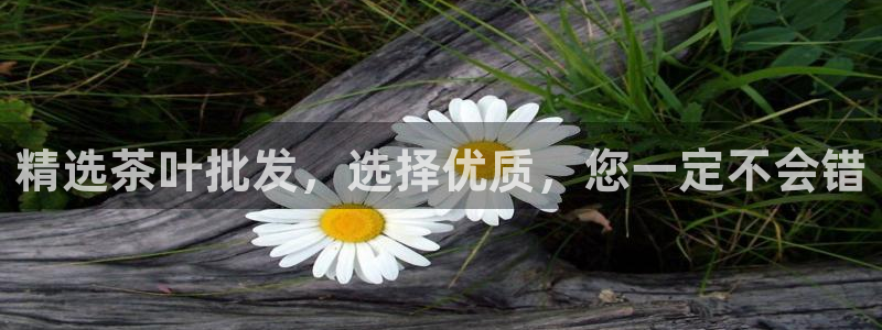 金年会彩票下载app