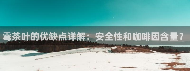 jinnianhui 金年会