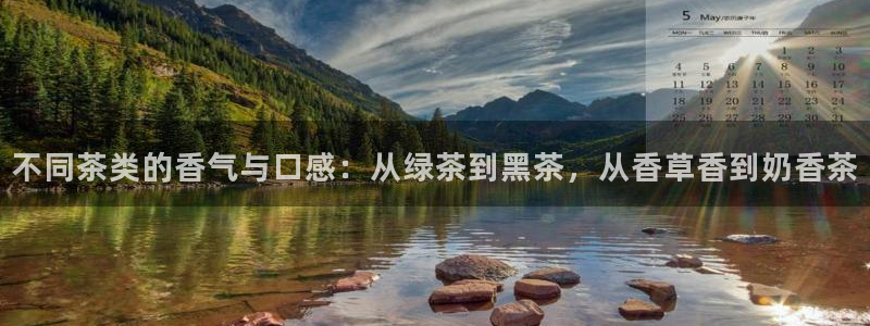 金顶年会