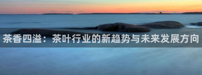 今年会金年会
