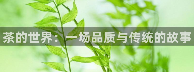 金年会APP安装下载