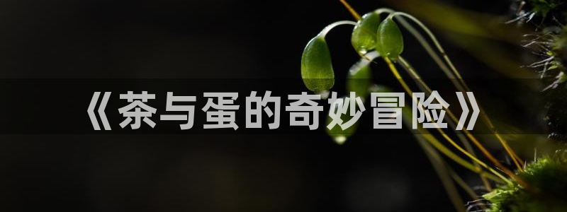 金帆年会2017