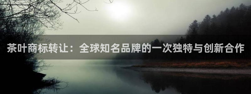 金年会网官网新版
