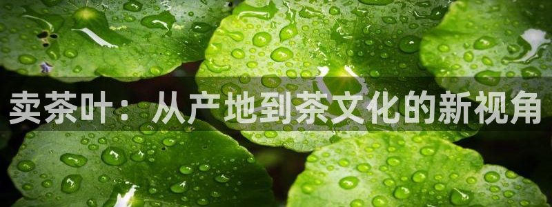 金年会平台出款