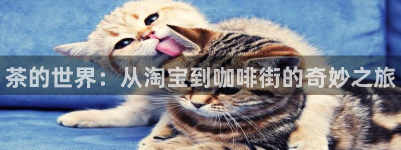 金年会登陆