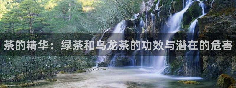 金年会现金网