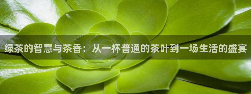 金年会在线下载