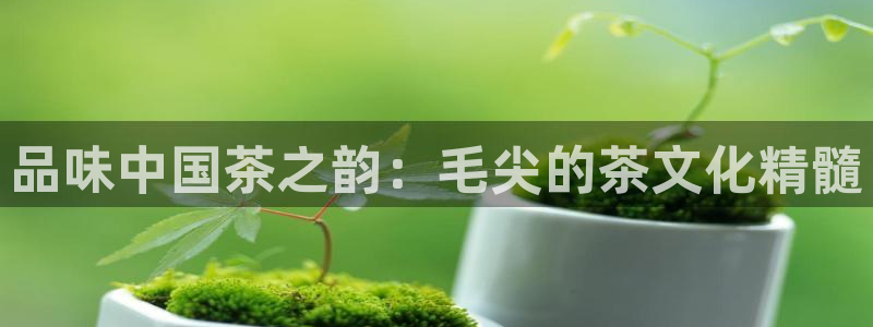 金年会com